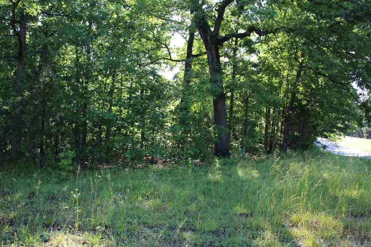 001-07824-000 Hwy 14 N, Yellville, AR 72687 - #1