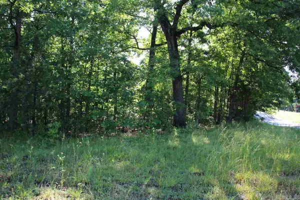 001-07824-000 Hwy 14 N, Yellville, AR 72687