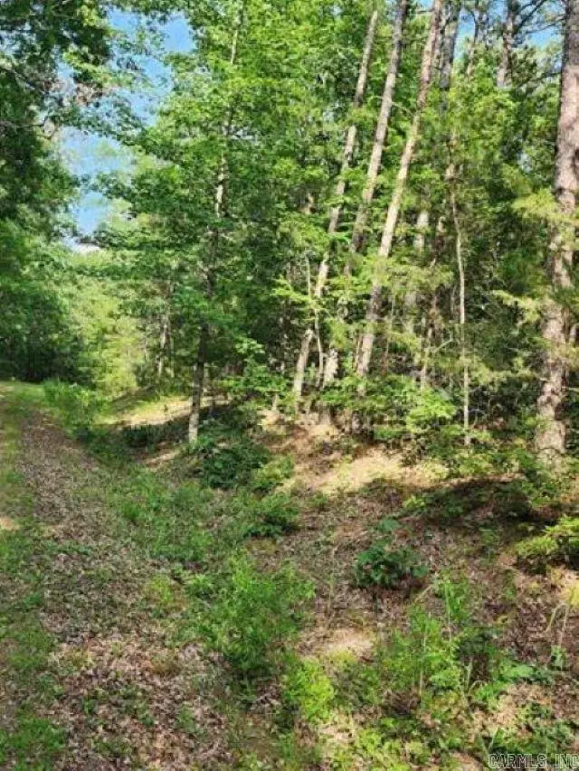 0 Owen, Fairfield Bay, AR 72088 - Image #3