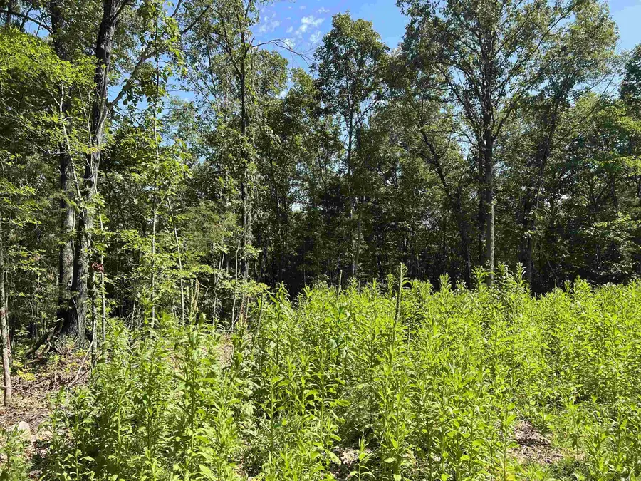 47 Cedar Creek Drive, Harrison, AR 72601 - Image #3