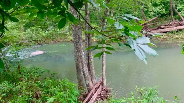 1602 Turkey Creek Road, Mountain View, AR 72560