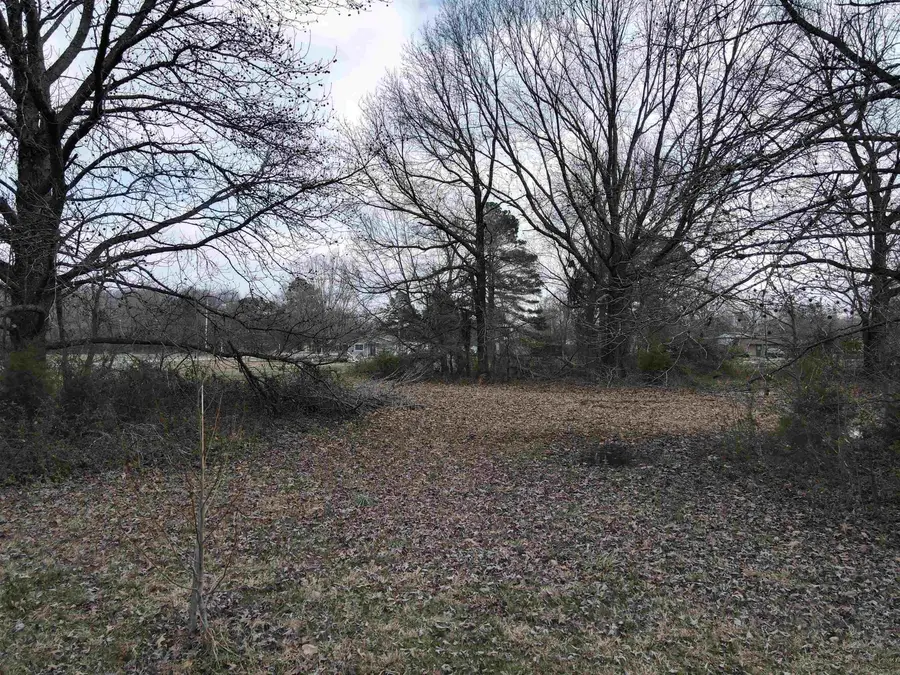 Lot 12 Mckinley Avenue, Carlisle, AR 72024 - Image #3