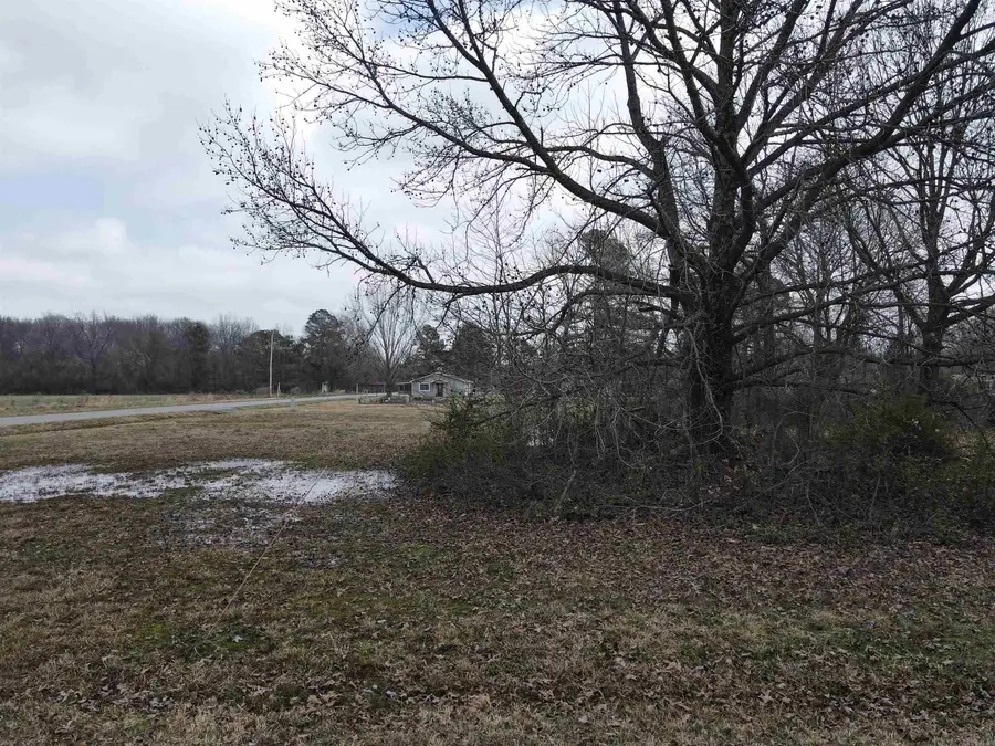 Lot 15 Mckinley Avenue, Carlisle, AR 72024 - Image #2