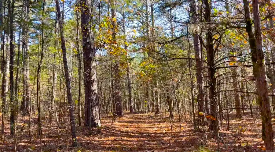 Lot 12 Shiloh Landing Pointe, Greers Ferry, AR 72067 - Image #3