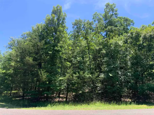 19 Campeon Ln, Hot Springs Village, AR 71909