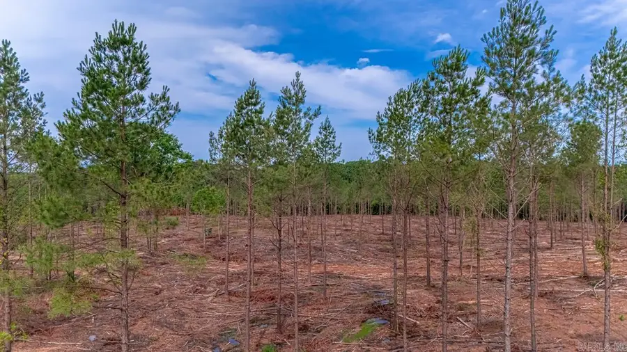 LOT #5 Grant 55, Hensley, AR 72065 - Image #3