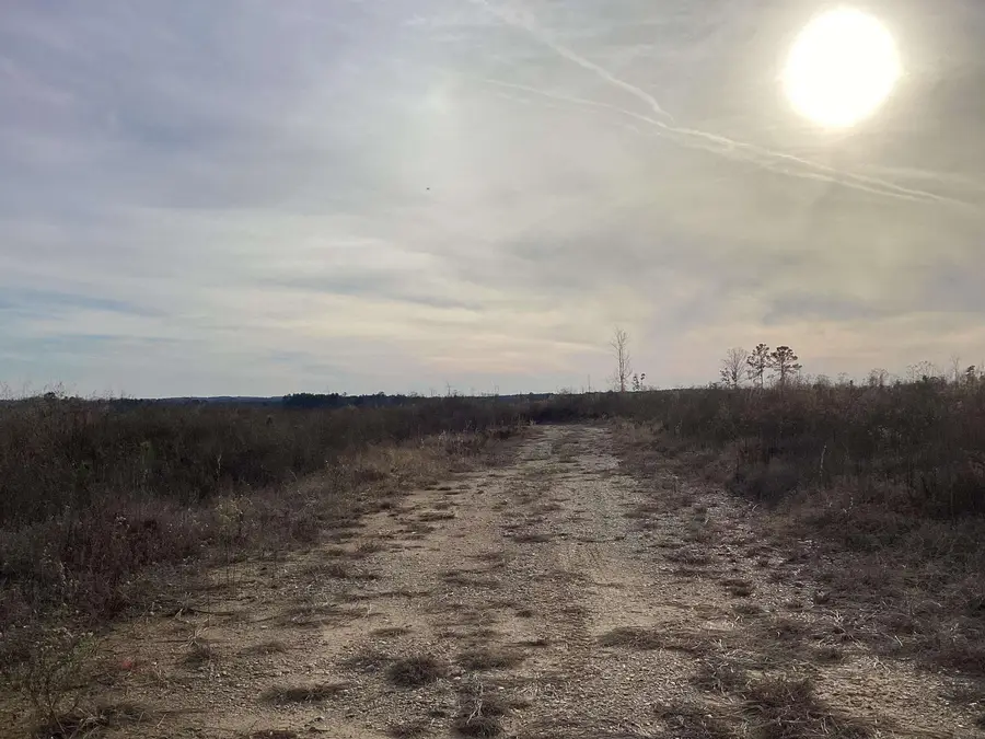 0000 Davidson Campground Road, Okolona, AR 71962 - Image #3