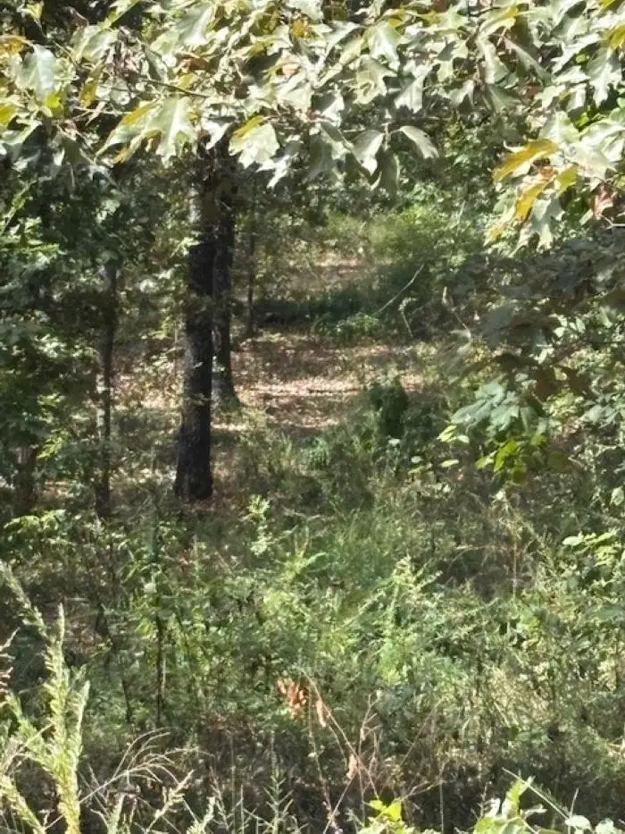 #3
