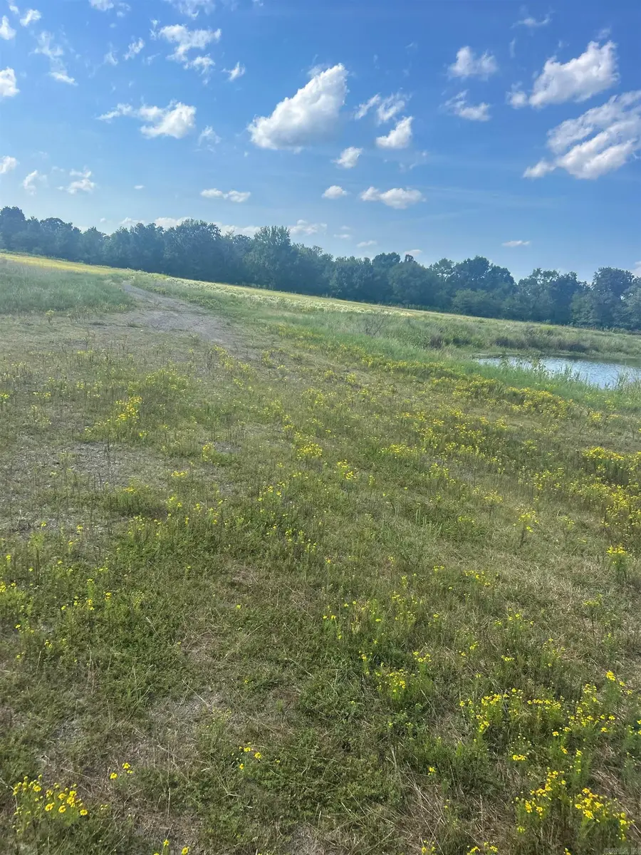 Hwy 124 Hwy 124 Highway, Pangburn, AR 72121 - Image #2