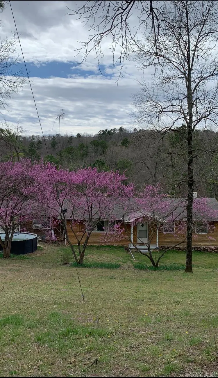 33 Ewe Lane, Yellville, AR 72687 - Image #2