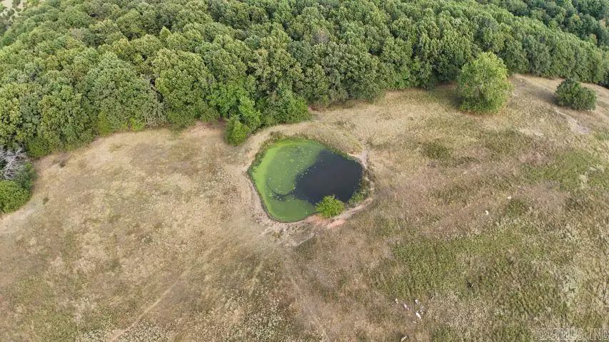 445 Hudspeth Lane, Yellville, AR 72687 - Image #3