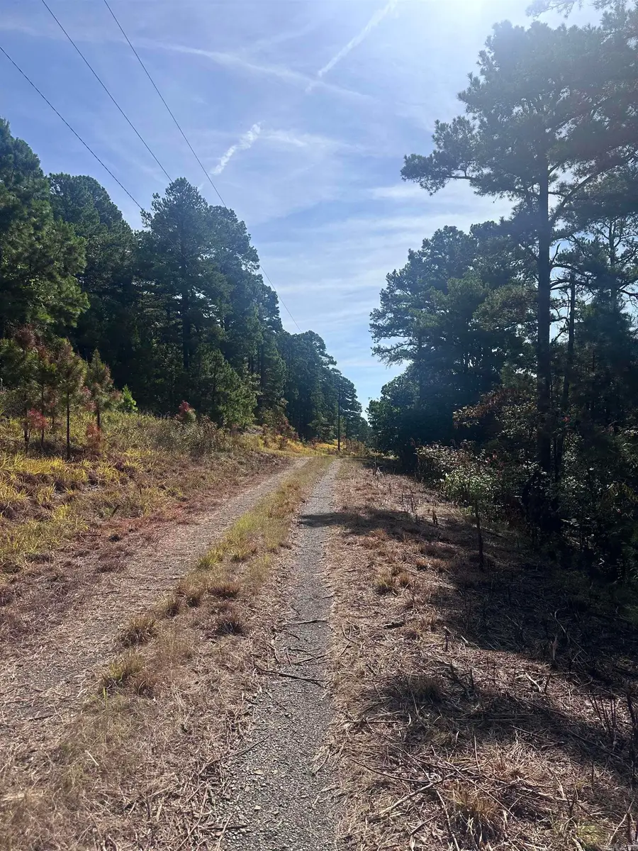 Address Withheld By Seller, Bigelow, AR 72016 - Image #3