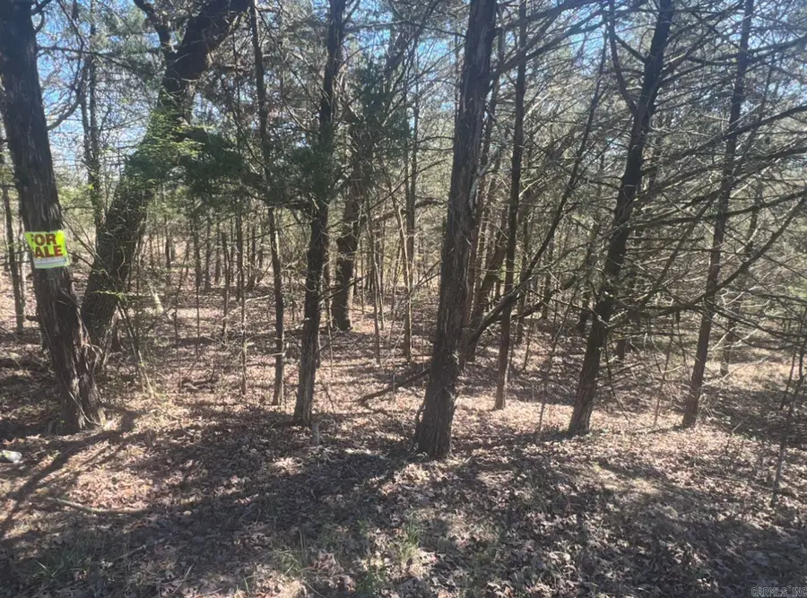 Address Withheld By Seller, Horseshoe Bend, AR 72512 - Image #2