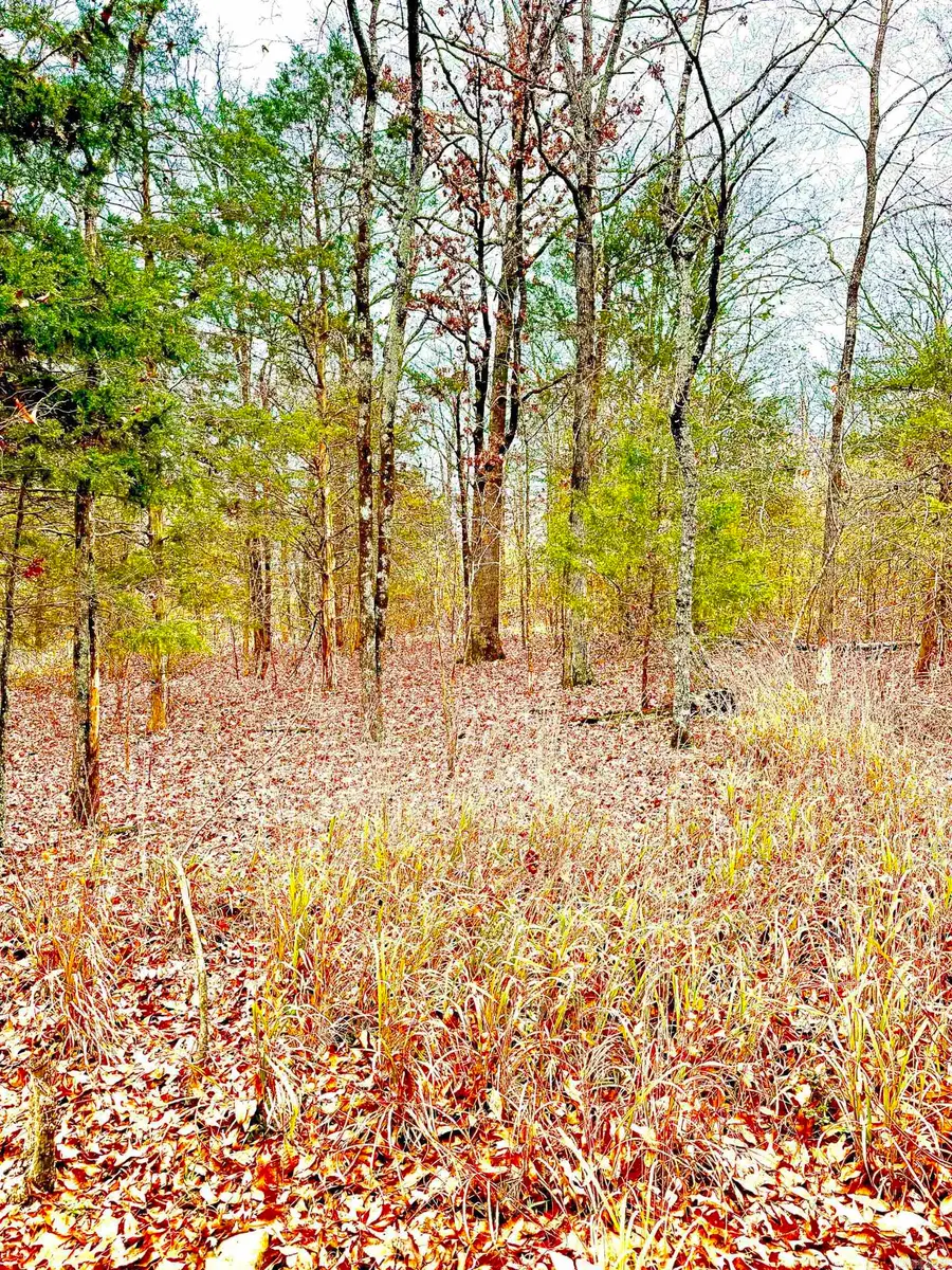 00 Sun Vista, Cabot, AR 72023 - Image #2