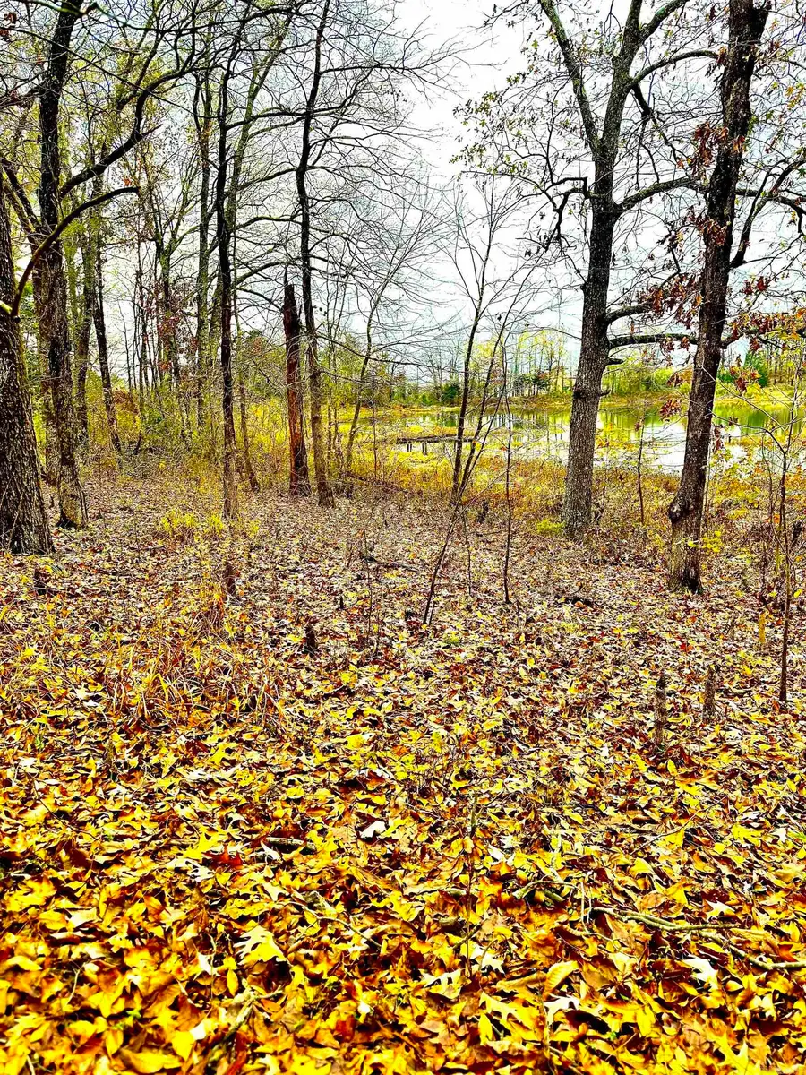 00 Sun Vista, Cabot, AR 72023 - Image #3