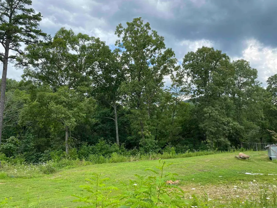 7897 Trace Ridge Road, Leslie, AR 72645 - Image #3