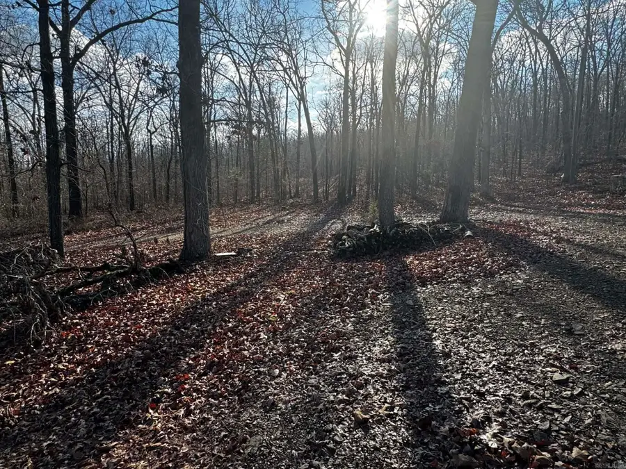 Address Withheld By Seller, Cabot, AR 72023 - #3