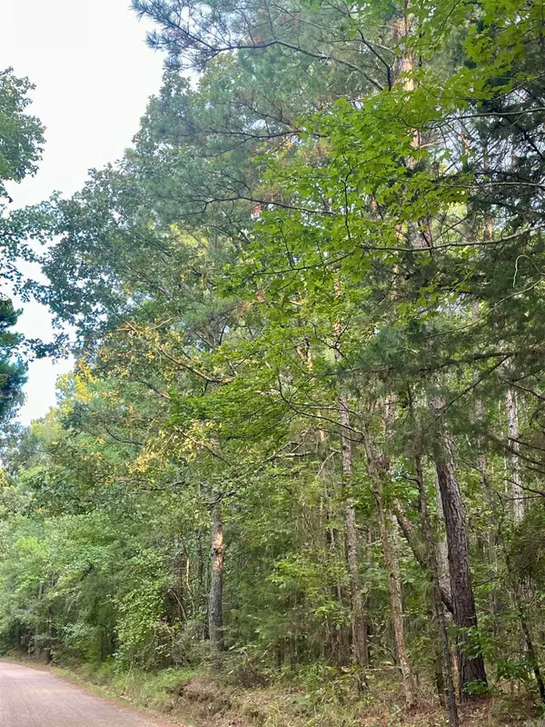 TBD Miller County 32, Doddridge, AR 71834