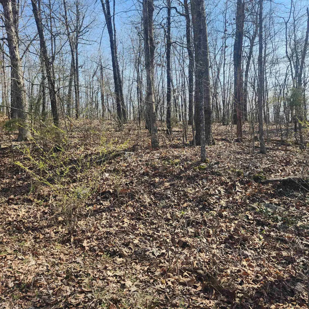 L-4, B-6 Chickasaw Drive, Cherokee Village, AR 72529 - Image #1