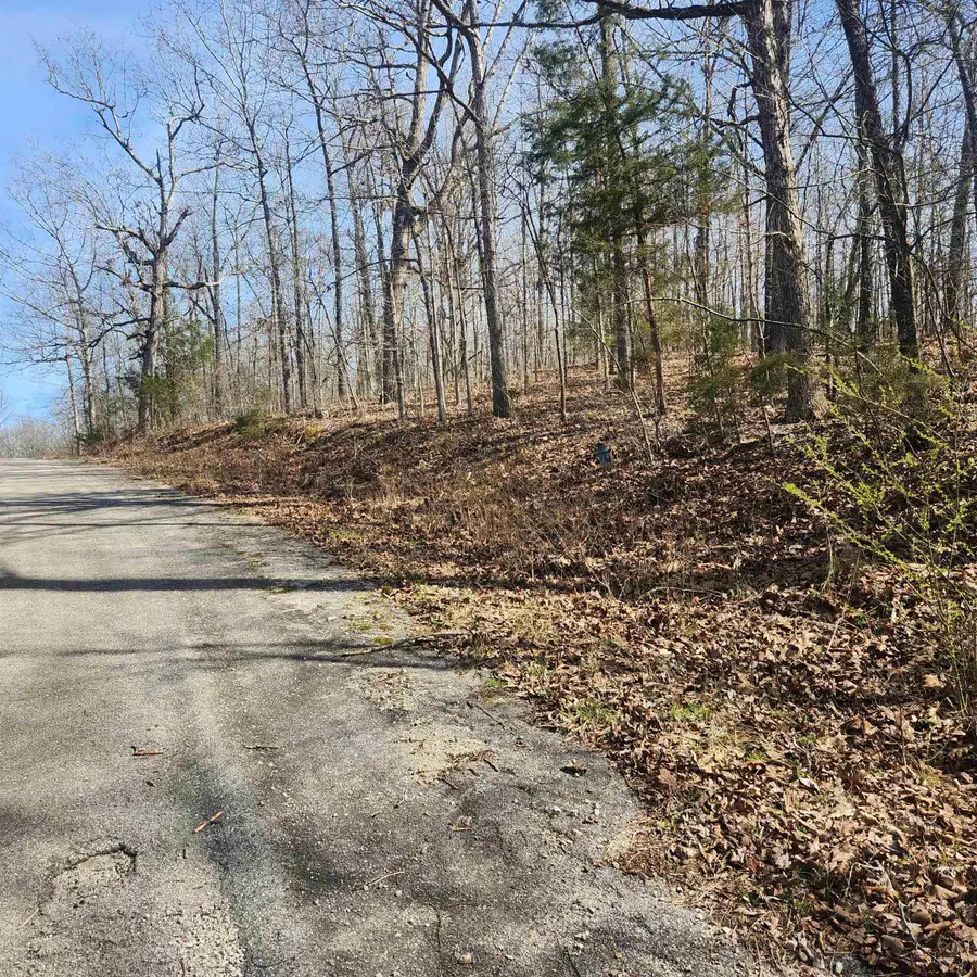 L-4, B-6 Chickasaw Drive, Cherokee Village, AR 72529 - Image #2