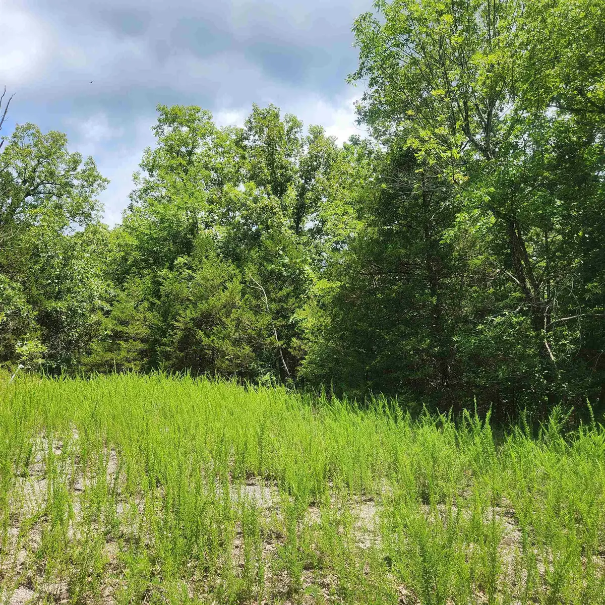 L-83, B-4 Hernando Trace, Cherokee Village, AR 72529 - Image #1