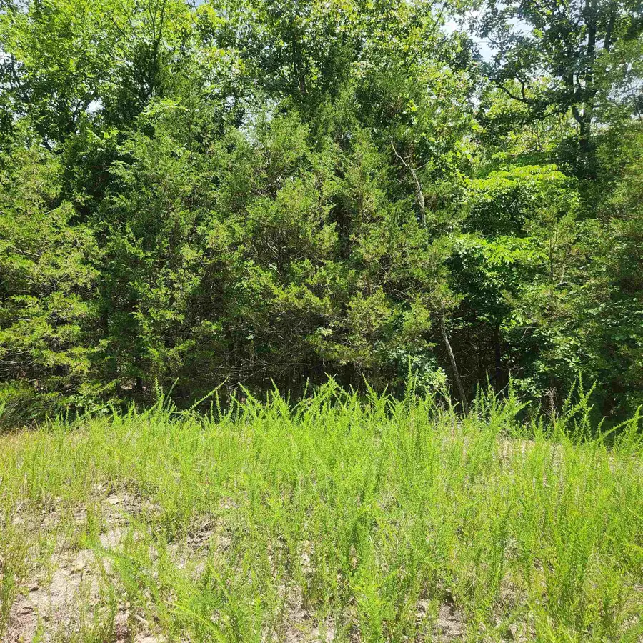 L-83, B-4 Hernando Trace, Cherokee Village, AR 72529 - Image #2