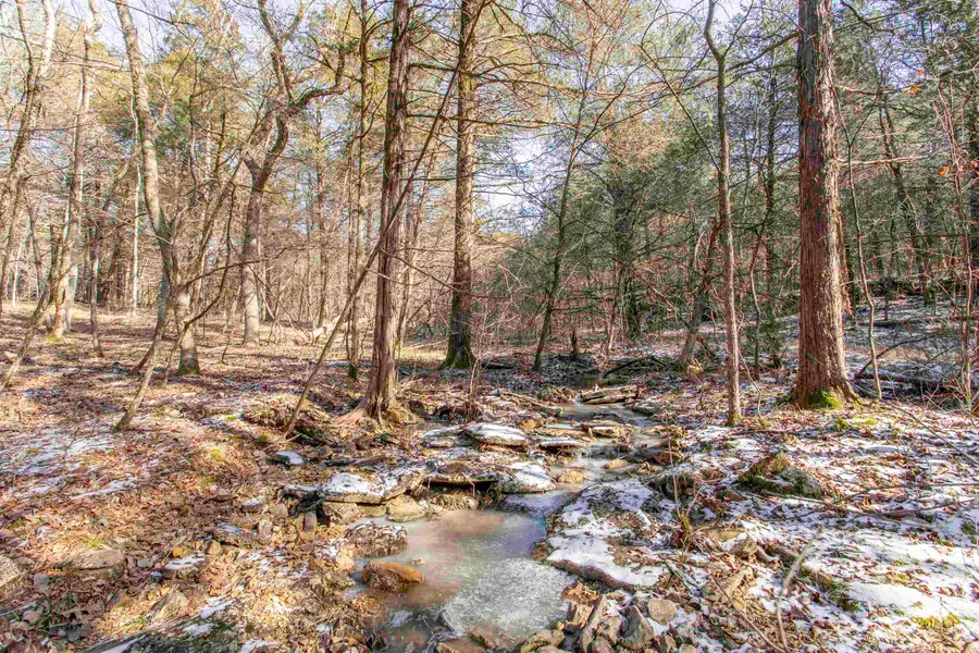 Lot 21 Fawn Ridge Ln Lane, Williford, AR 72482 - Image #3