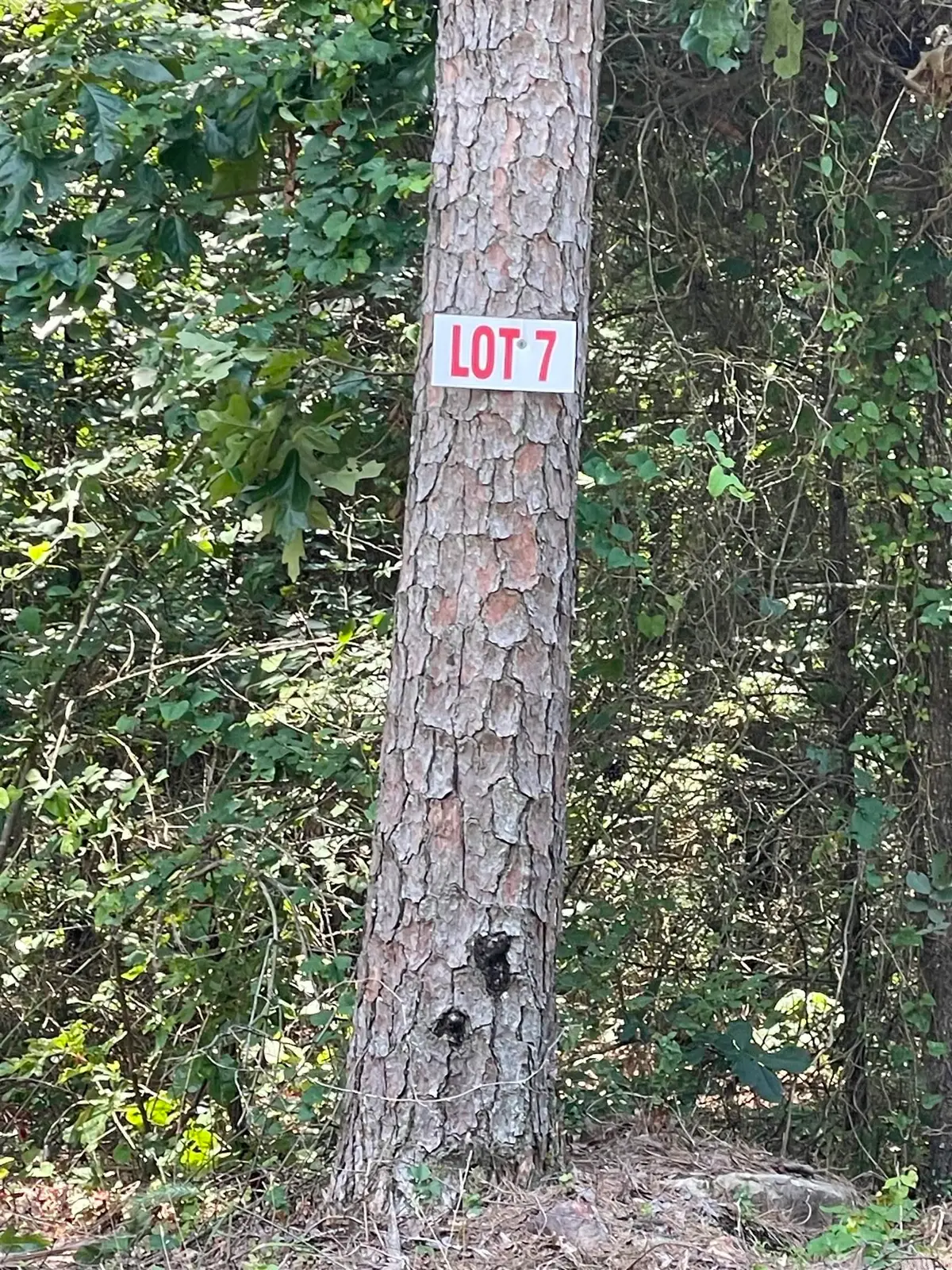 Lot 7 Pleasant Ridge Road, Greers Ferry, AR 72067 - Image #1