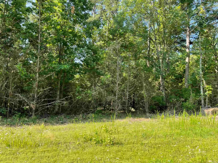 Lot 7 Pleasant Ridge Road, Greers Ferry, AR 72067 - Image #2