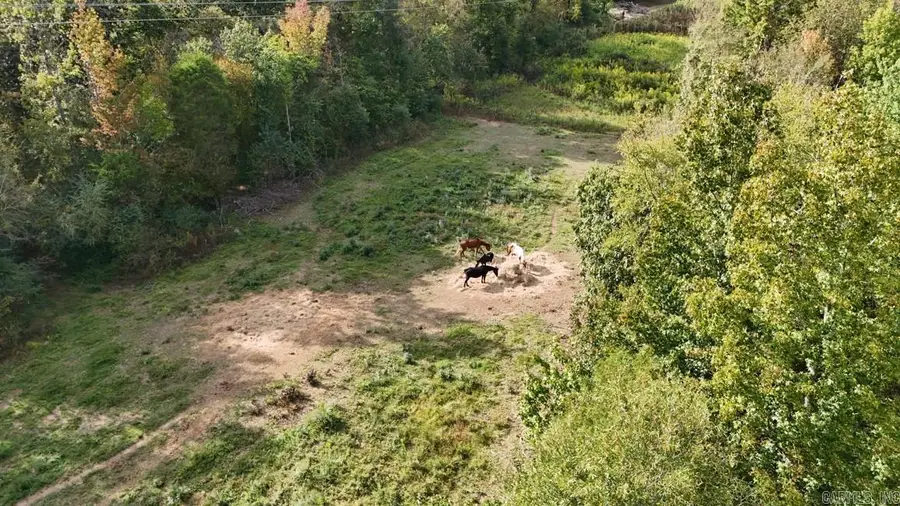 #3