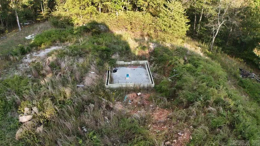 216 Renegade Lane, Yellville, AR 72687 - Image #3