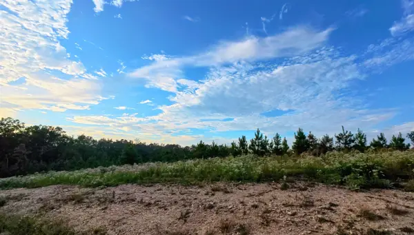 xx Roxanne Road, Lonsdale, AR 72087