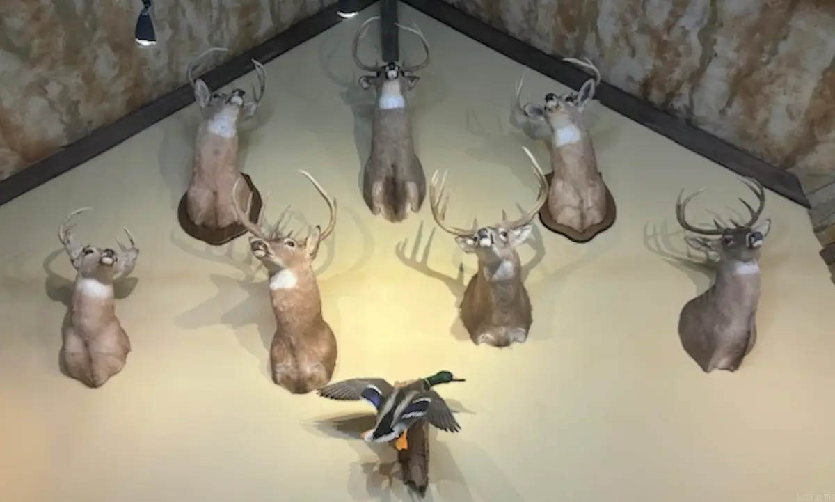 201 Morgan Loop Rd Road, Dewitt, AR 72042 - Image #1