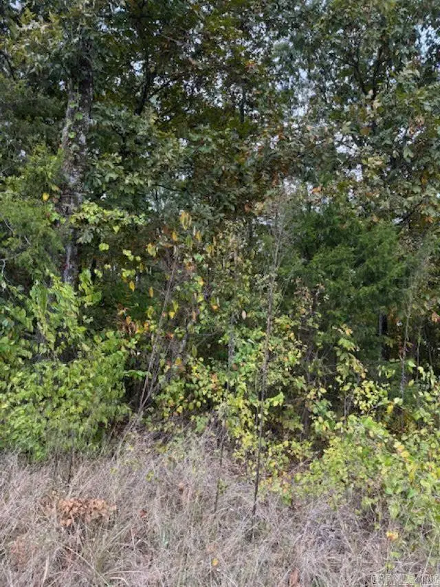 000 Hwy 16, Heber Springs, AR 72543 - Image #2