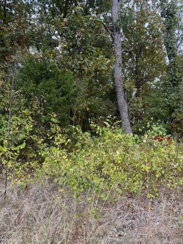 000 Hwy 16, Heber Springs, AR 72543 - Image #3