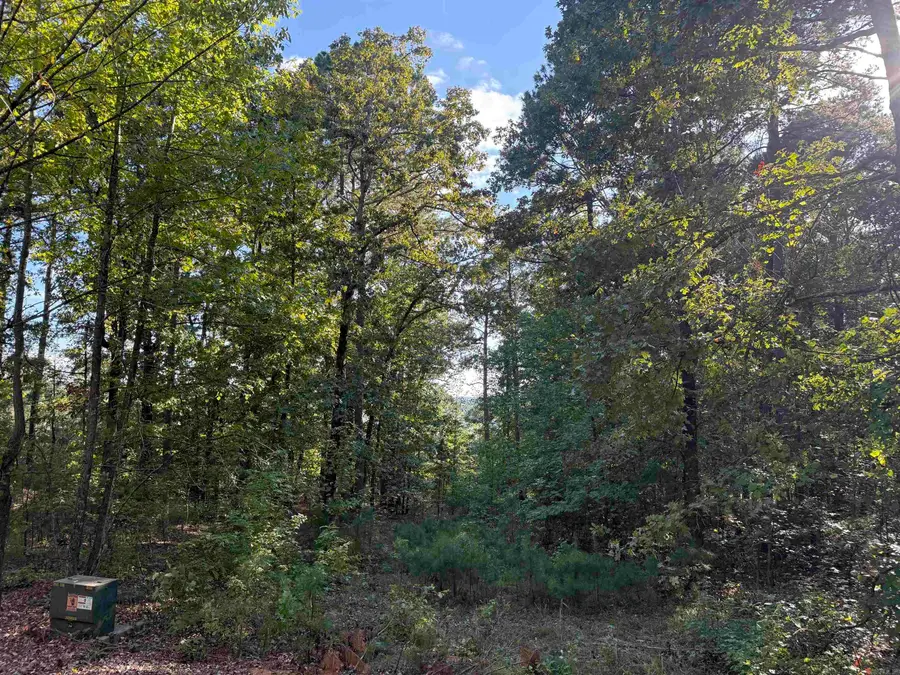 Lot 4 Island Shores Drive, Drasco, AR 72530 - Image #3