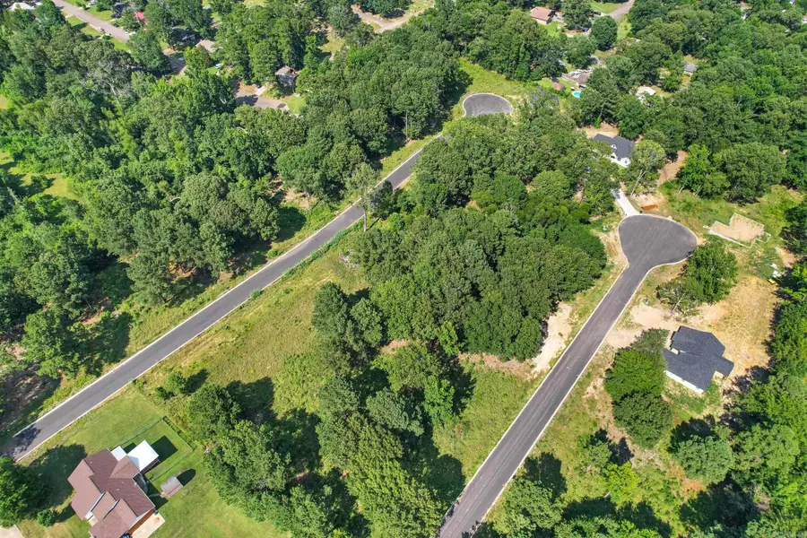 141 Leopard Drive, De Queen, AR 71832 - Image #3