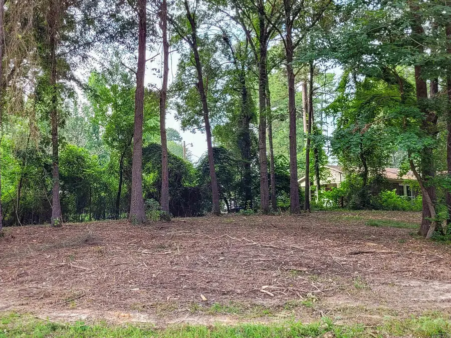 142 Leopard Drive, De Queen, AR 71832 - Image #2