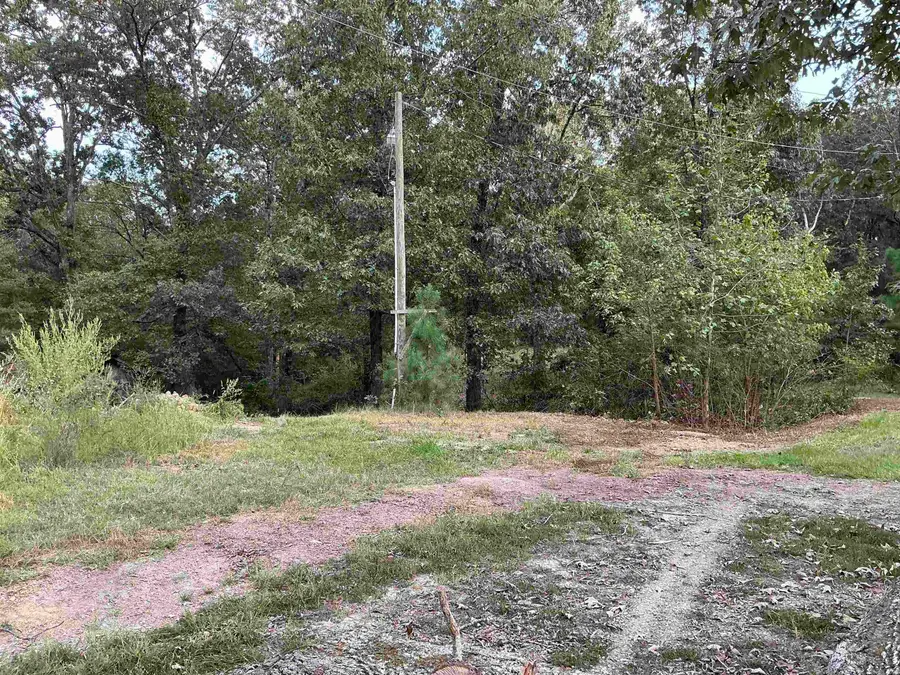 9 Alice Lane, Casscoe, AR 72026 - Image #2