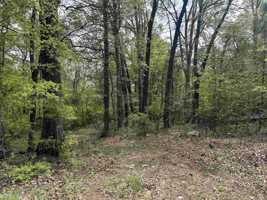 0 Center Street Highway, Sheridan, AR 72150 - Image #2