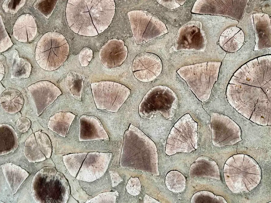 702 Fox Run Trail, Pocahontas, AR 72455 - Image #3