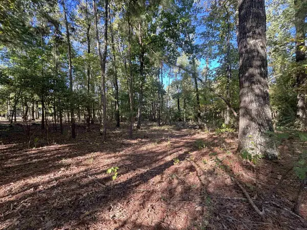 0 Freda Lane (south Lot), Sheridan, AR 72150