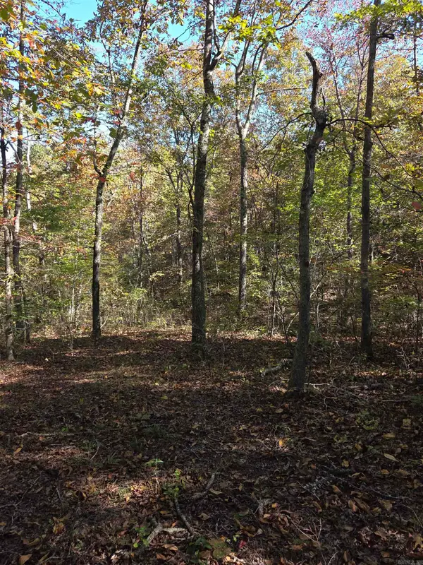 0 Karen Drive, Dennard, AR 72629