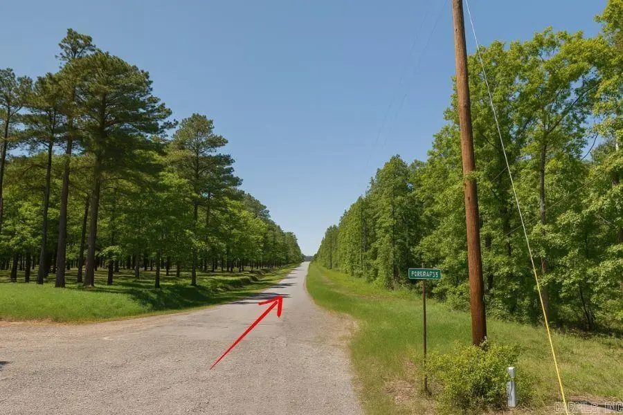 0 View Point Drive, Bigelow, AR 72016 - Image #3