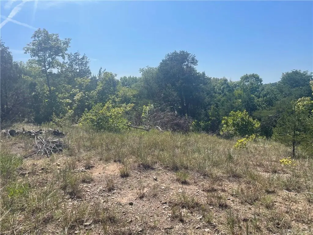 Address Withheld By Seller, Lead Hill, AR 72644 - Image #1