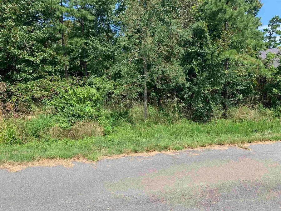 32 Ochavo Way, Hot Springs Village, AR 71909 - Image #3