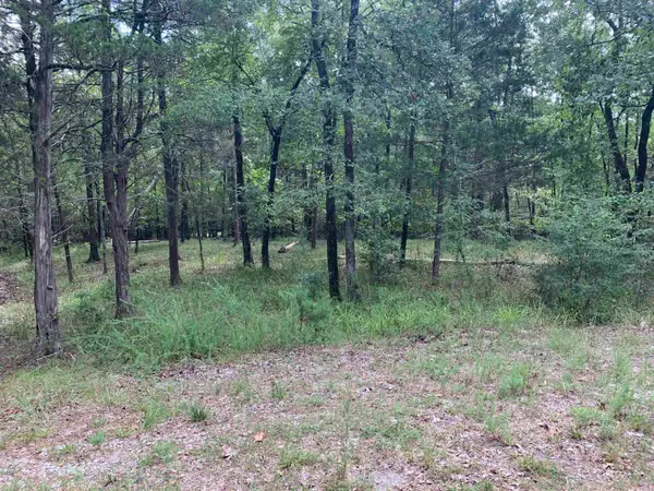 4 Ermalinda Lane, Hot Springs Village, AR 71909