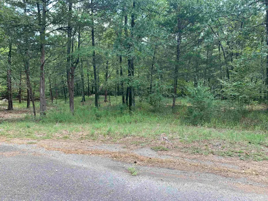 4 Ermalinda Lane, Hot Springs Village, AR 71909 - Image #2