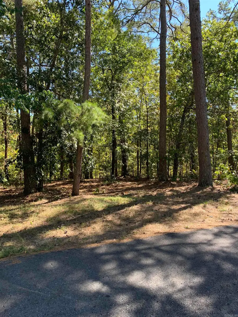 8 Alava Way, Hot Springs Village, AR 71909 - #3