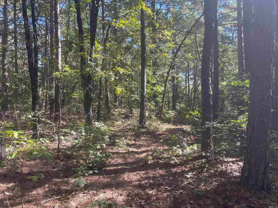 000 Sunny Fox Road, Mountain View, AR 72560 - Image #2